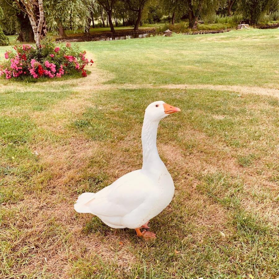 Domaine De Roullet Hotel Buitenkant foto